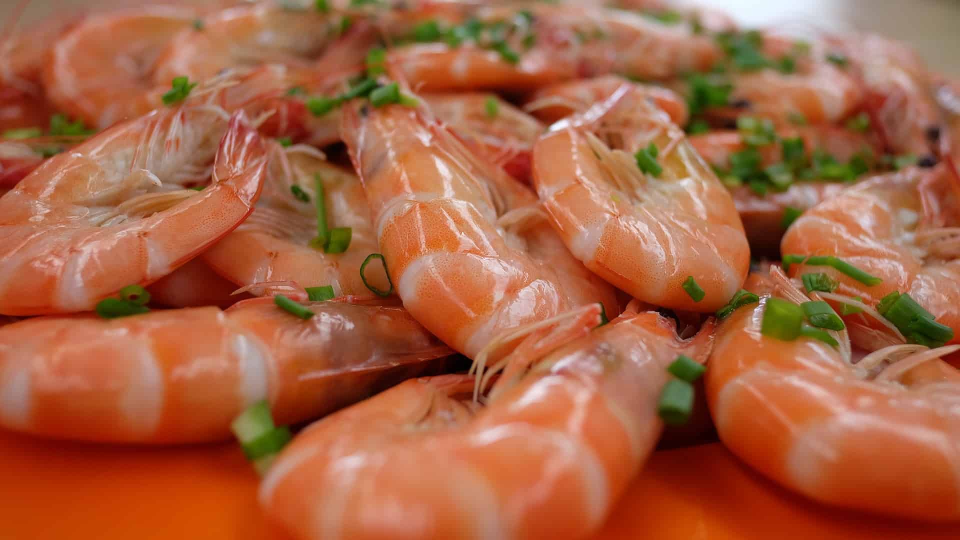 Shrimp on a plate garnished with chives.