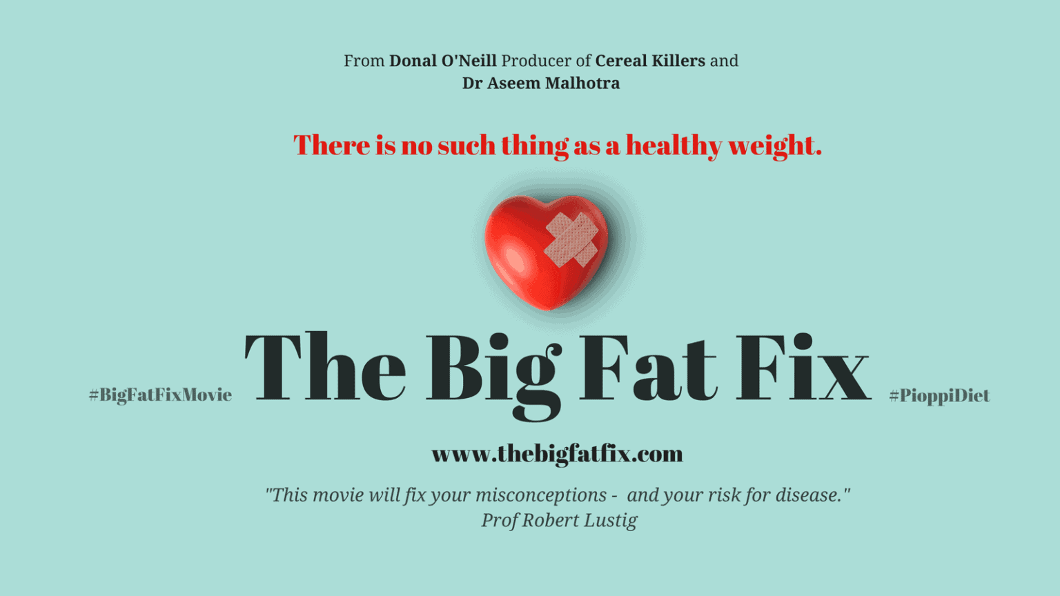 keto documentaries - the big fat fix movie poster