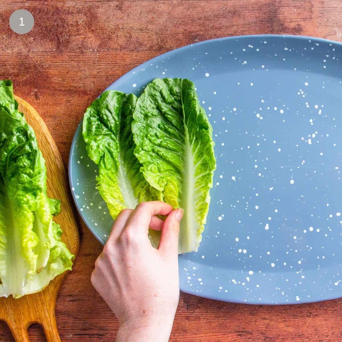 Arranging romaine lettuce leaves on a speckled blue plate by hand.