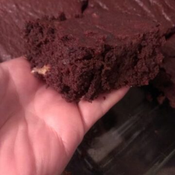 Fudgy Flax Brownies - cut to show internal texture