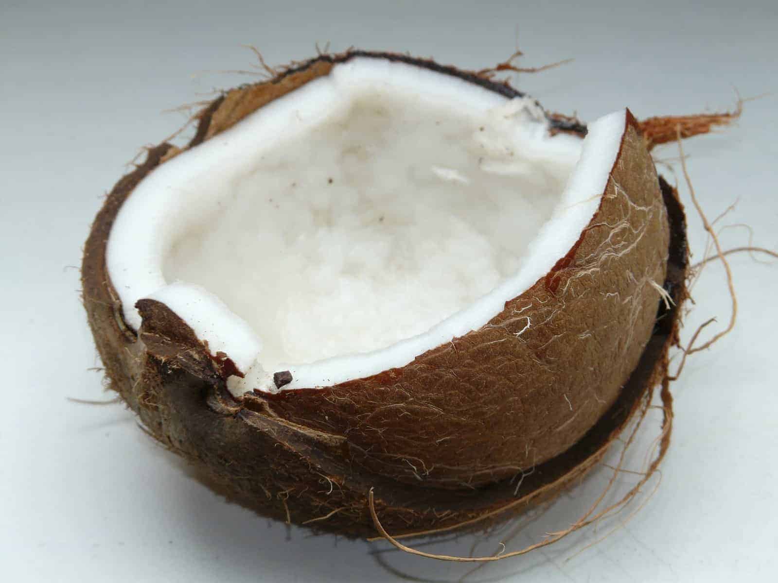 how to open a coconut - half of a fresh coconut on a countertop