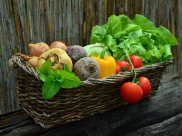 vegetable gardening tips - basket of harvested veggies