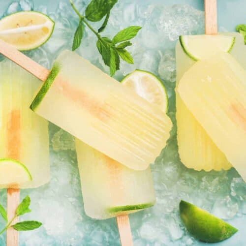 Lemon-Lime Electrolyte Popsicle (AIP, Keto, GFDF, Paleo, Vegetarian ...