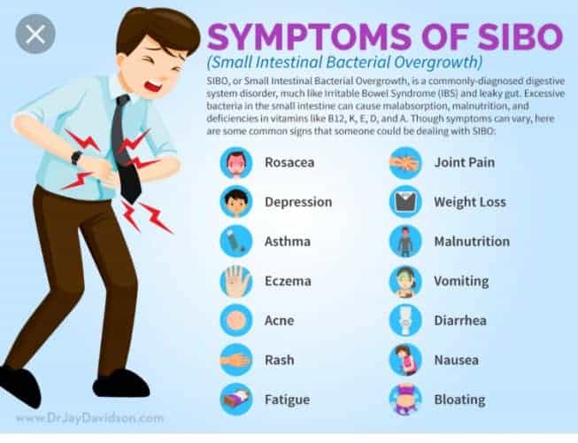 What is SIBO? Small Intestinal Bacterial Overgrowth Explained - Heather ...