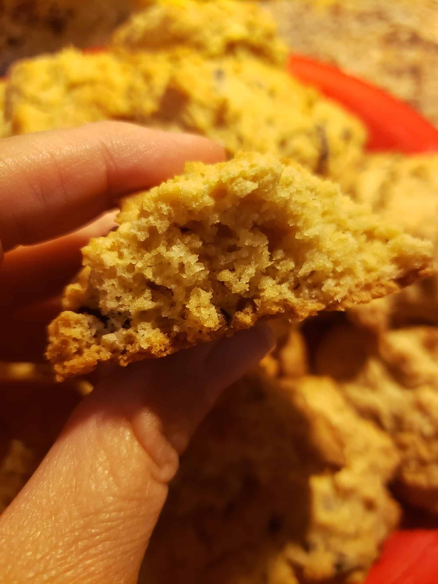 Inside of a gluten-free sourdough chocolate chunk cookie
