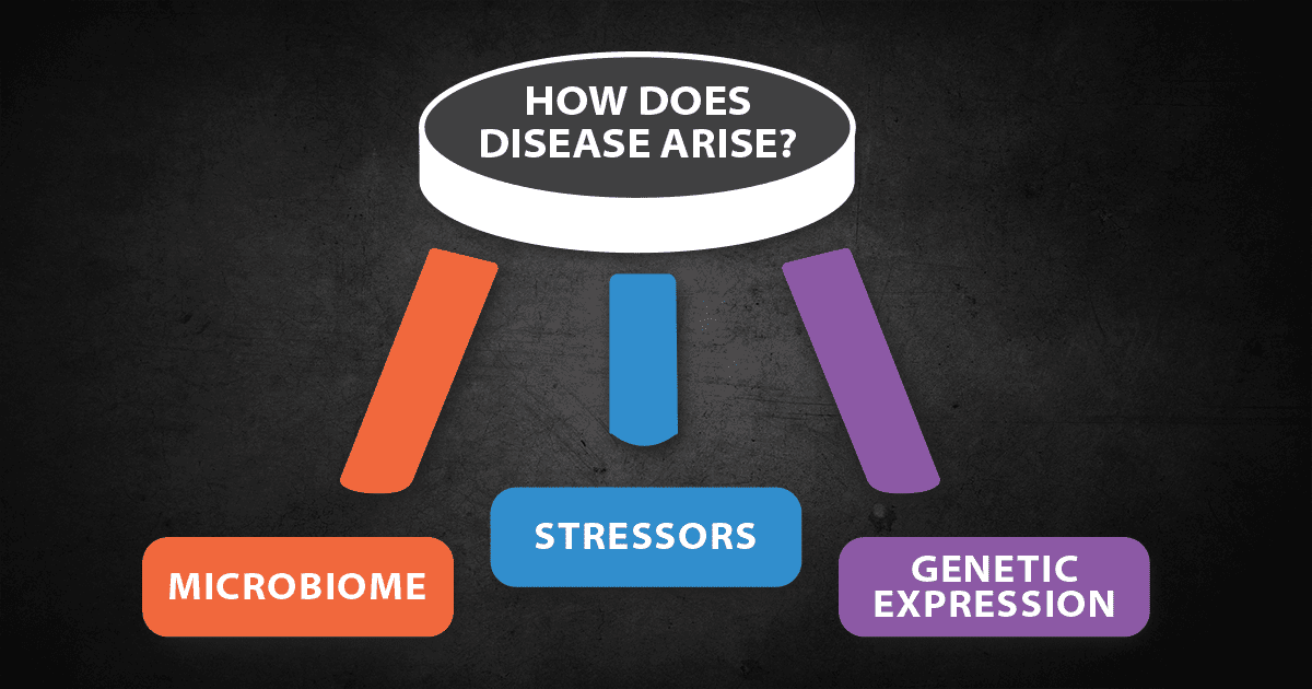 Autoimmunity Tripod: 3 requirements to autoimmune disease - genetics, microbiome, triggers