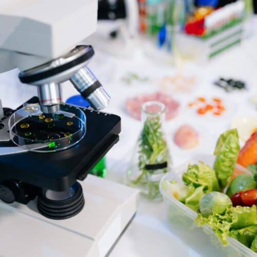 Microscope and veggies on lab table.