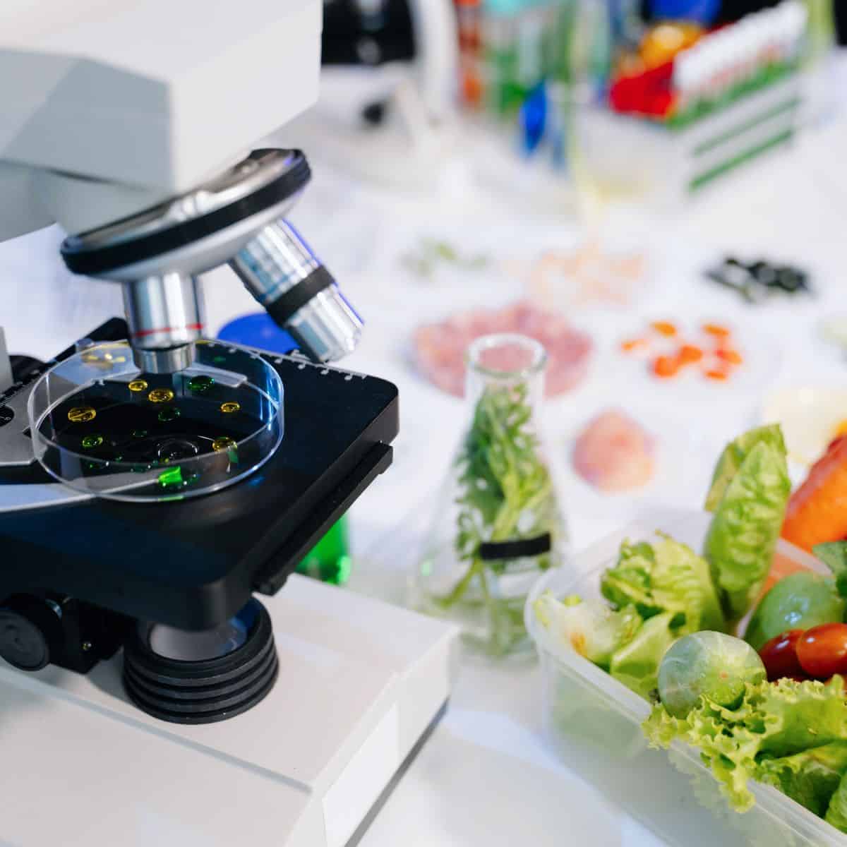 Microscope and veggies on lab table.