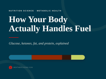 Infographic on glucose, ketones, fat, and protein metabolism in the body.