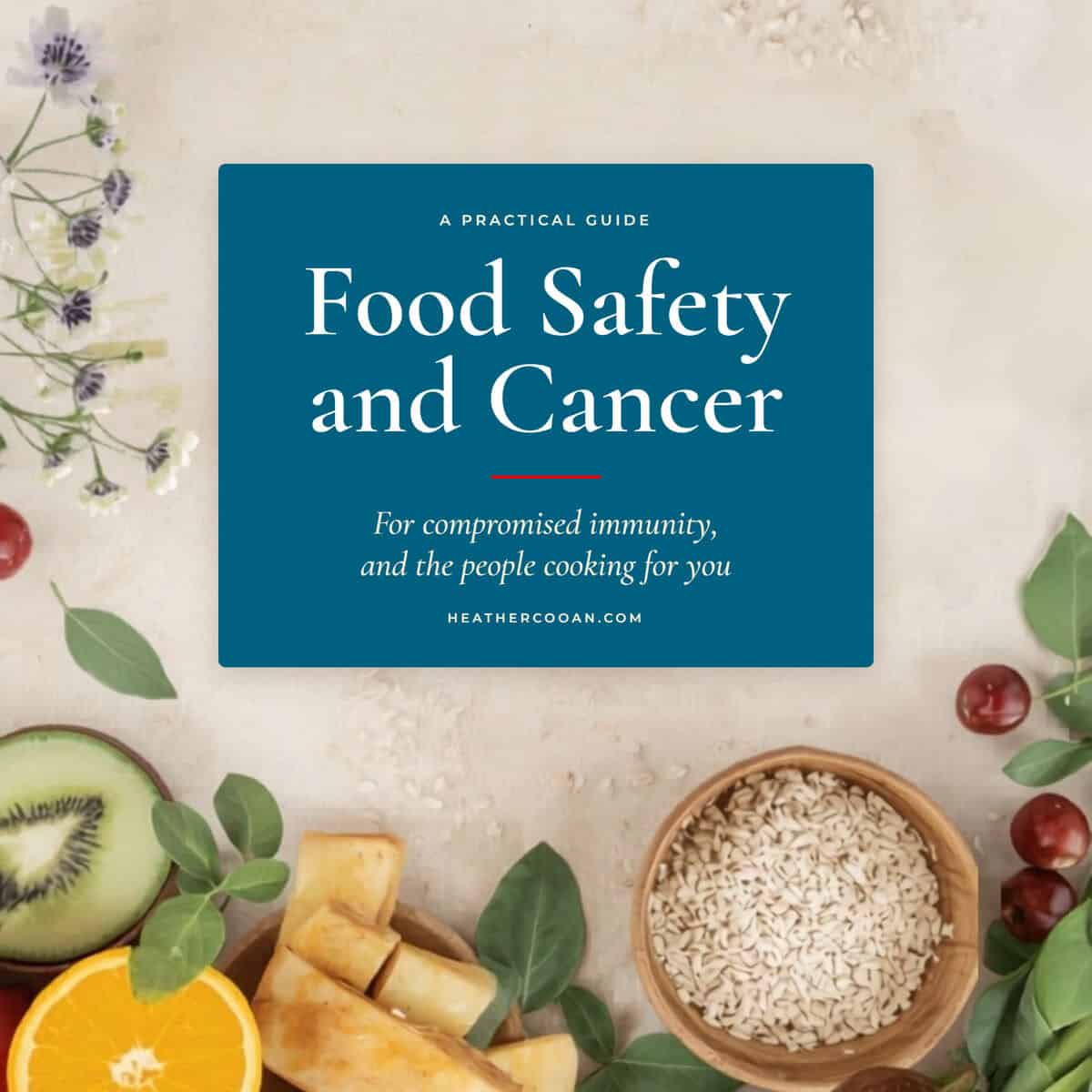 Cover of Food Safety and Cancer guide with fresh fruits and grains.